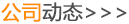 公司动态